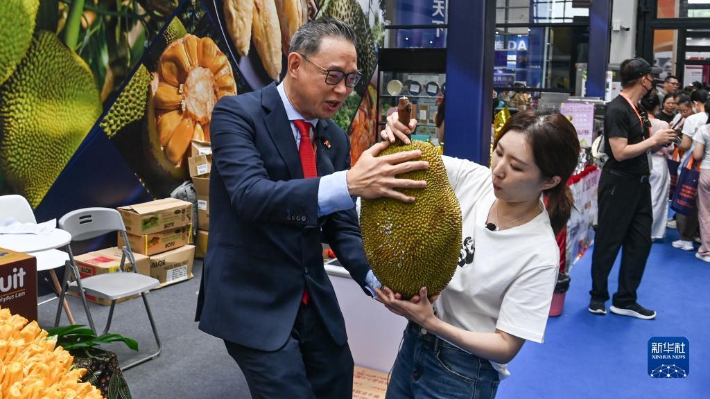 老虎的资料网页